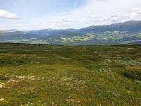 opps_20230816_64dd3cb23b34c.jpg