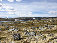 opps_20230816_64dd3cb59e6b8.jpg