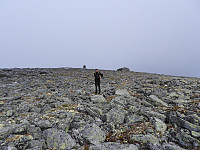 opps_20230816_64dd3f63364a5.jpg