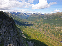 opps_20230817_64de8702c0de5.jpg