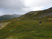 opps_20230817_64de870b91f04.jpg