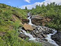 opps_20230817_64de88cdda267.jpg