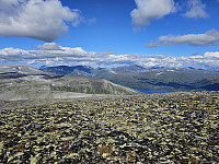 opps_20230817_64de88d36c0fd.jpg