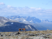 opps_20230817_64de88e9e668a.jpg