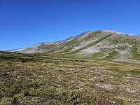 opps_20230818_64dfa8873d7b0.jpg