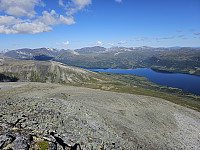 opps_20230818_64dfa8891a441.jpg