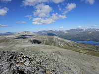opps_20230818_64dfa88ada747.jpg