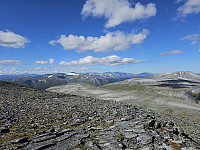 opps_20230818_64dfa88c818c7.jpg