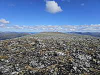 opps_20230818_64dfa88fa902b.jpg