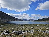 opps_20230818_64dfa89ba65a8.jpg
