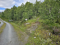 opps_20230820_64e1f15ed9c0d.jpg