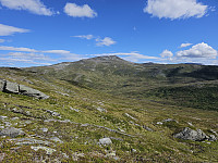 opps_20230820_64e1f16f4bc40.jpg