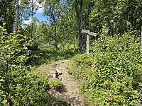 opps_20230820_64e1f171487d7.jpg