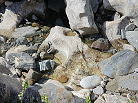 opps_20230820_64e1f19e60aca.jpg