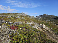 opps_20240117_65a82f77cc0ec.jpg