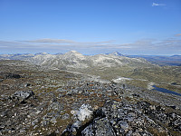 opps_20240117_65a82f7f06281.jpg