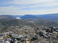 opps_20240117_65a82f80a4b39.jpg