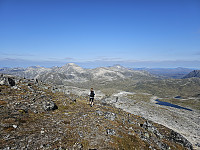 opps_20240117_65a82f823936d.jpg