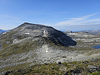 opps_20240117_65a82f85d331a.jpg