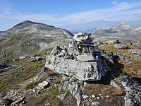 opps_20240117_65a82f87c2c24.jpg