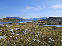 opps_20240117_65a82f8b61fc3.jpg