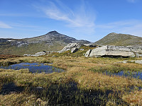opps_20240117_65a82f8eab358.jpg