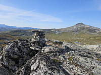 opps_20240117_65a82f9061668.jpg