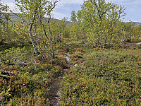 opps_20240117_65a830cb5313c.jpg