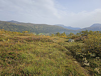 opps_20240117_65a830cd8a0c5.jpg