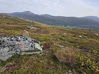 opps_20240117_65a830cf63e59.jpg