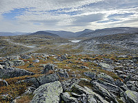 opps_20240117_65a830d13fd33.jpg
