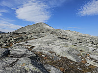 opps_20240117_65a830d4c7ca1.jpg