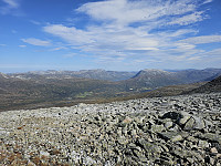 opps_20240117_65a830e04b834.jpg