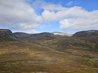 opps_20240117_65a831d28273d.jpg