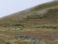 opps_20240117_65a831d3d7a1b.jpg