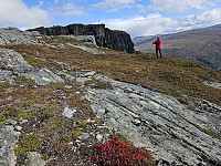 opps_20240117_65a831e13aba4.jpg