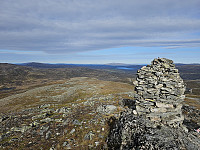 opps_20240117_65a833628fad7.jpg