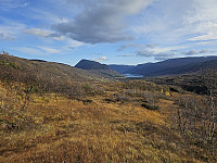 opps_20240118_65a904c1de4e5.jpg