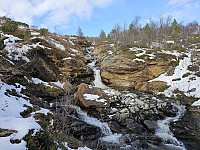 opps_20240118_65a90585216b5.jpg
