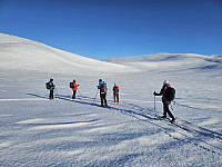 opps_20241217_6761757e49051.jpg