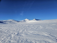 opps_20241217_67617588971d6.jpg
