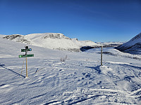 opps_20241217_6761758a3c949.jpg