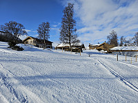 opps_20241217_67617e98b811a.jpg