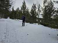 opps_20241217_676181583e84e.jpg