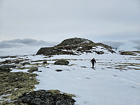 opps_20241217_6761815b093e1.jpg