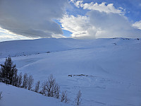 opps_20241217_676182818d9c5.jpg
