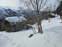 opps_20241217_67618adf4aa5b.jpg