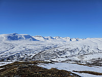 opps_20241217_6761a0e23af0d.jpg