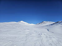 opps_20241217_6761a0e3b70ba.jpg