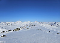 opps_20241217_6761a0e62b810.jpg